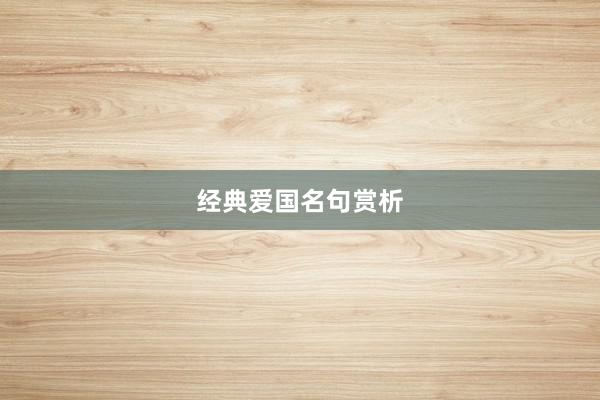 经典爱国名句赏析